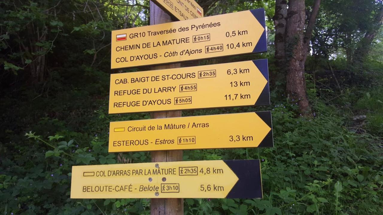 Le Gite Des Mousquetaires Lanne-en-Baretous Kültér fotó