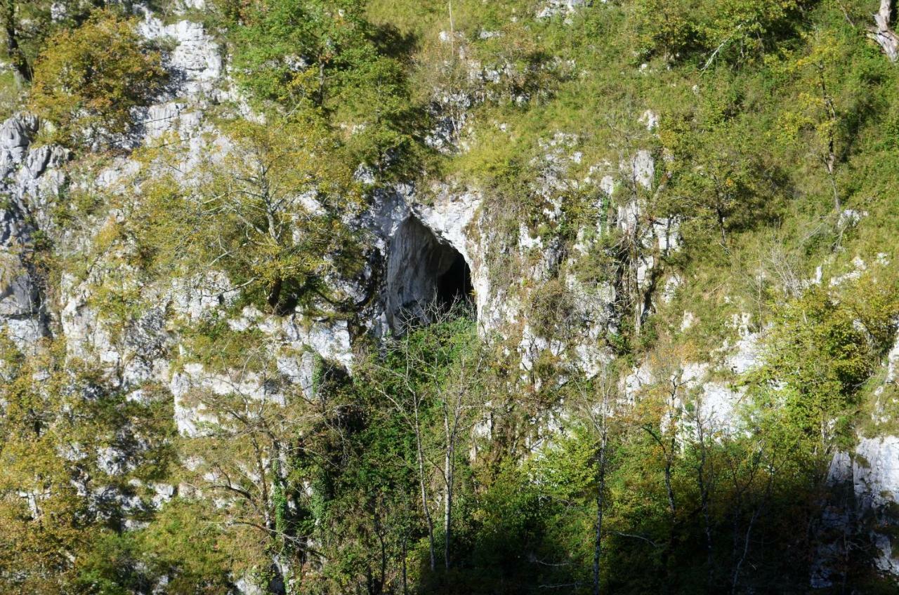 Le Gite Des Mousquetaires Lanne-en-Baretous Kültér fotó