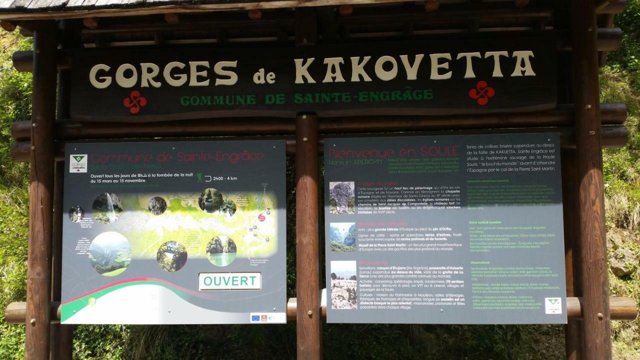Le Gite Des Mousquetaires Lanne-en-Baretous Kültér fotó